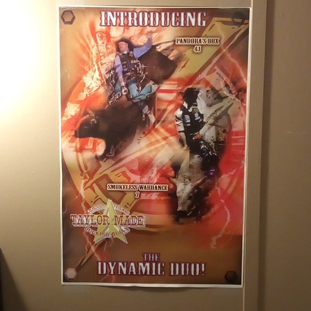 NWOT - Introducing The Dynamic Duo Rodeo Poster - Picture 2 of 7